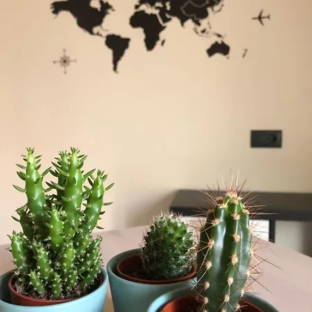 Sun&sea - Sea 卡塔尼亚